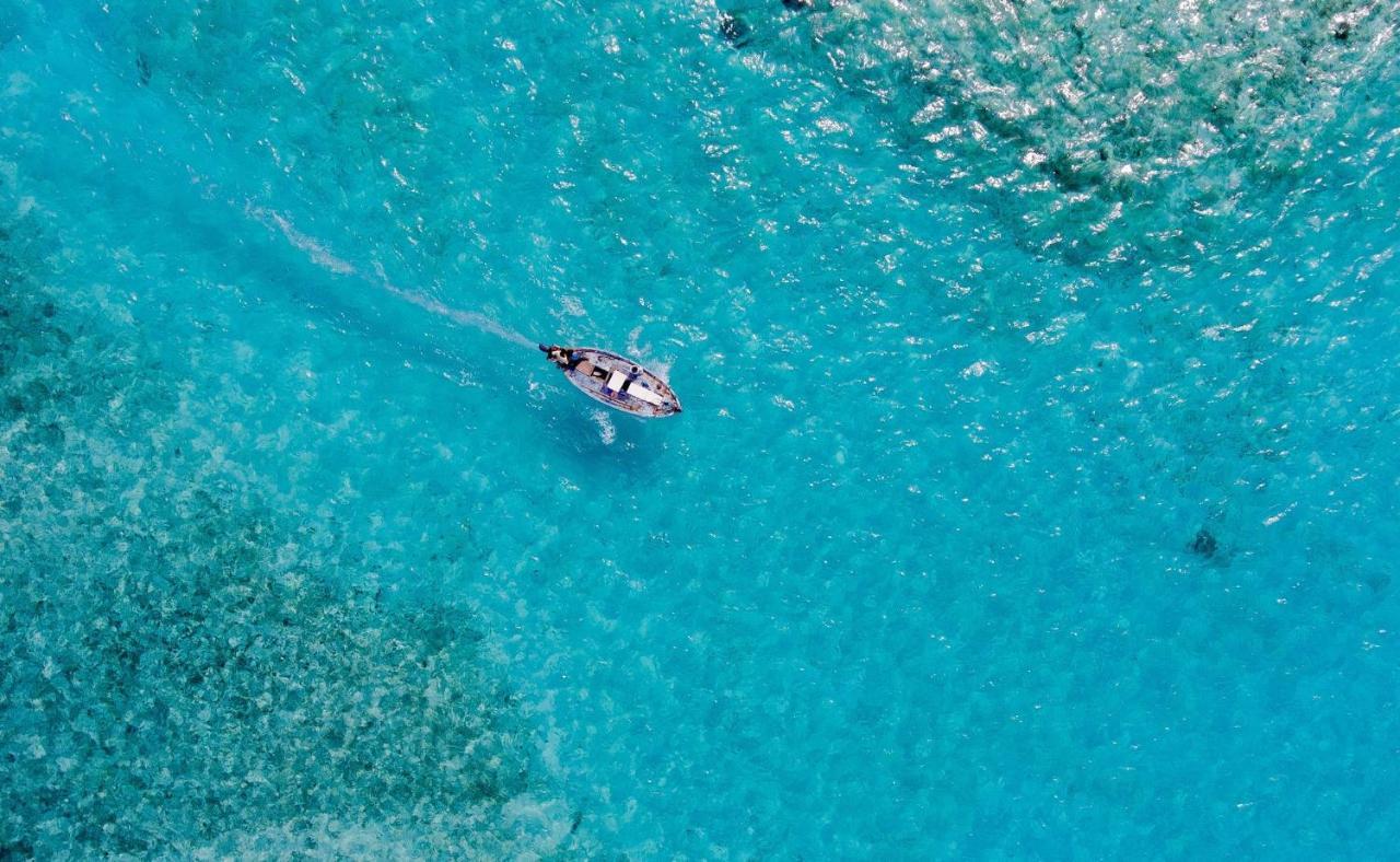 Paradise Retreat, Maafushi Exteriör bild